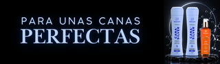 El manual definitivo para unas canas perfectas.