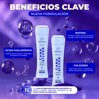 Matizador Cana Silver 300 ml