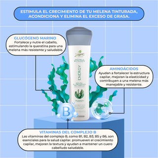 Mascarilla Energy Naissant 300 ml (Imagen Antigua)