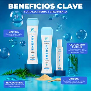 Mascarilla Energy Naissant 300ml